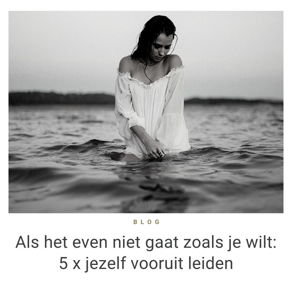 zelfleiderschap in je bedrijf blog