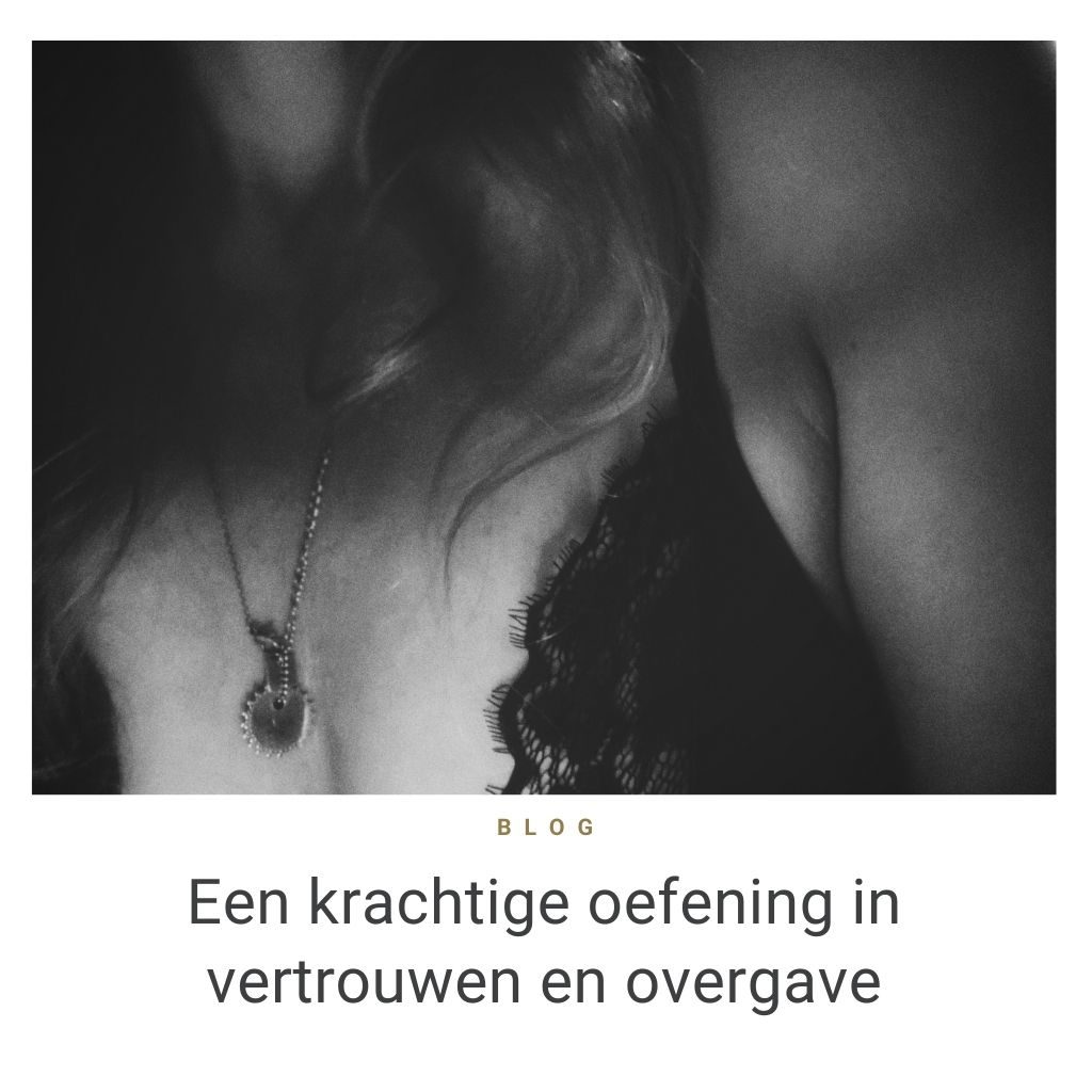 vertrouwen en overgave in je bedrijf blog