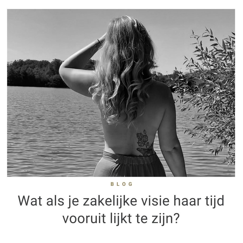 Wat als je zakelijke visie haar tijd vooruit lijkt te zijn blog