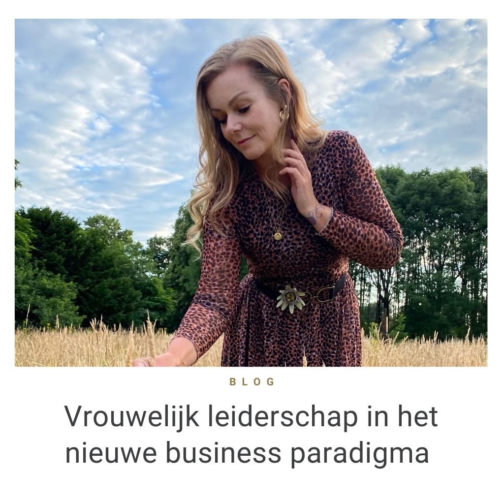Vrouwelijk leiderschap in het nieuwe business paradigma 4 poorten